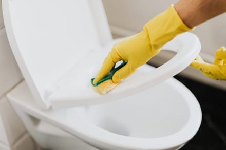 Household cleaning supplies arranged for light housekeeping duties